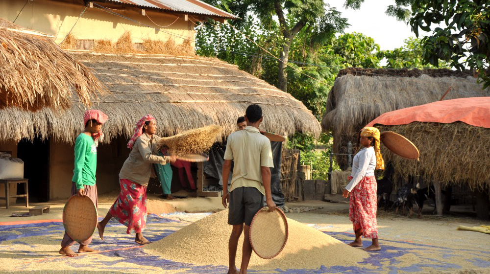 local delights of Tharu Community in Chitwan.
