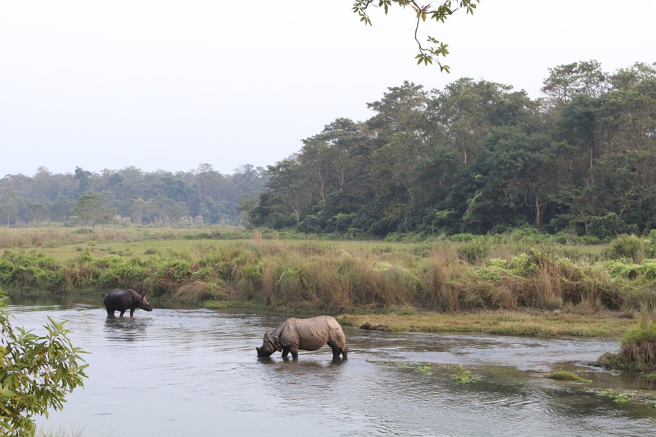 What you shouldn't do WHEN IN CHITWAN?
