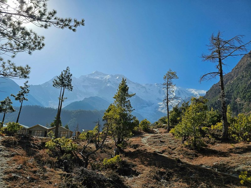 hiking through beautiful forest on way to Annapurna circuit
