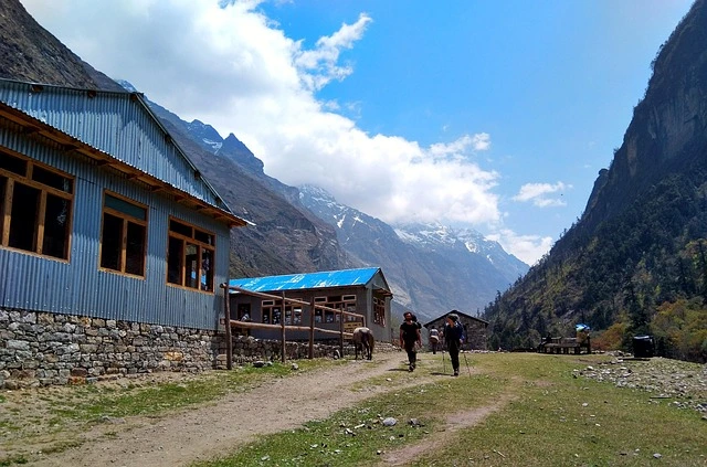 Trekkers enjoying a scenic walk along the Langtang Valley Trek trail surrounded by Himalayan mountains