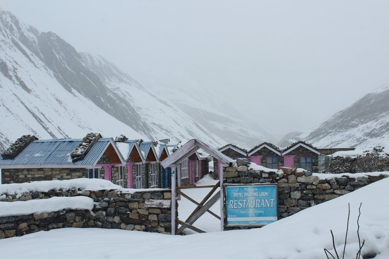 Bright yellow and blue tea house buildings framed by steep cliffs