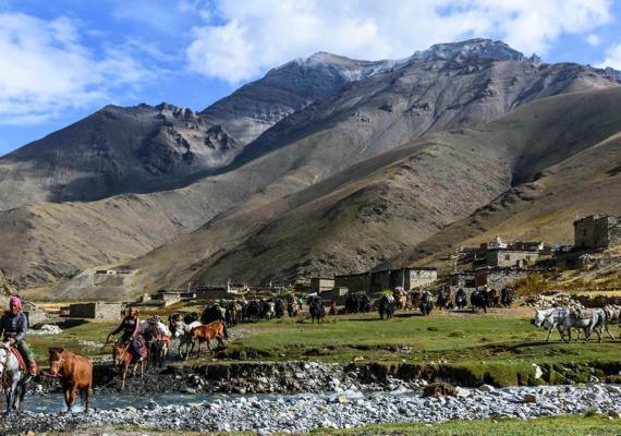 Upper Dolpo Trek